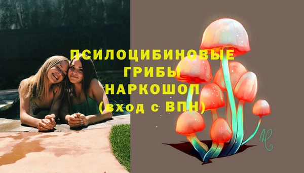 ПСИЛОЦИБИНОВЫЕ ГРИБЫ Нея