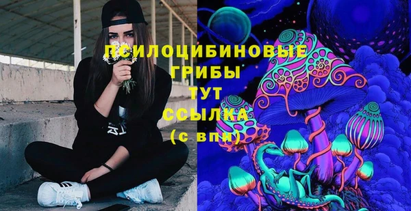 MDMA Новозыбков