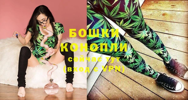 метадон Новодвинск