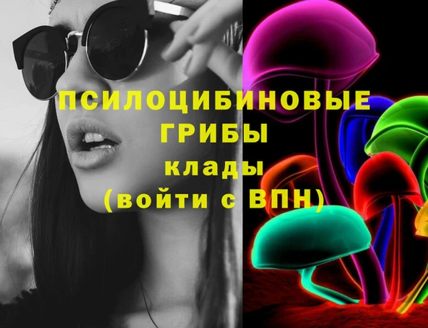 MDMA Новозыбков