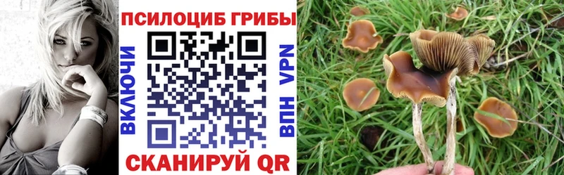 Купить  Лебедянь  Галлюциногенные грибы MAGIC MUSHROOMS 